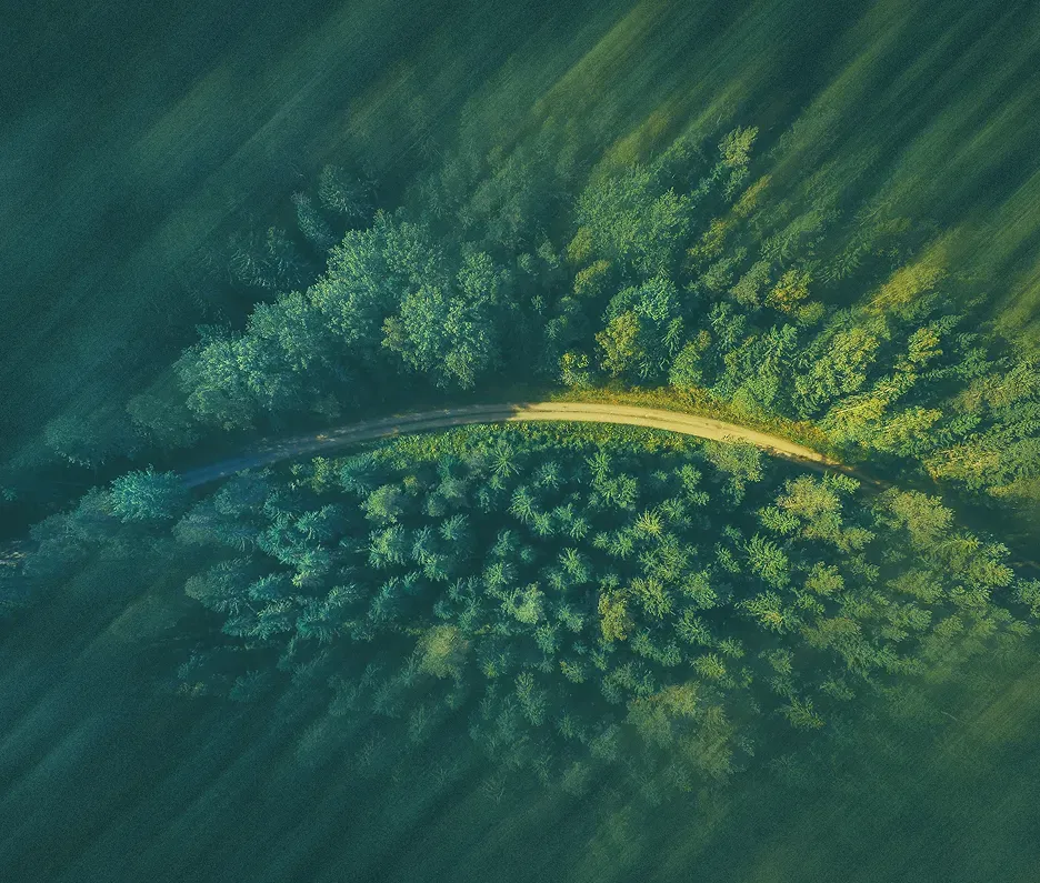 Aerial view of a road cutting through dense forest